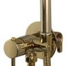 Гигиенический душ со смесителем Frap F7505-3 Золотой Гигиенический душ со смесителем Frap F7505-3 Золотой