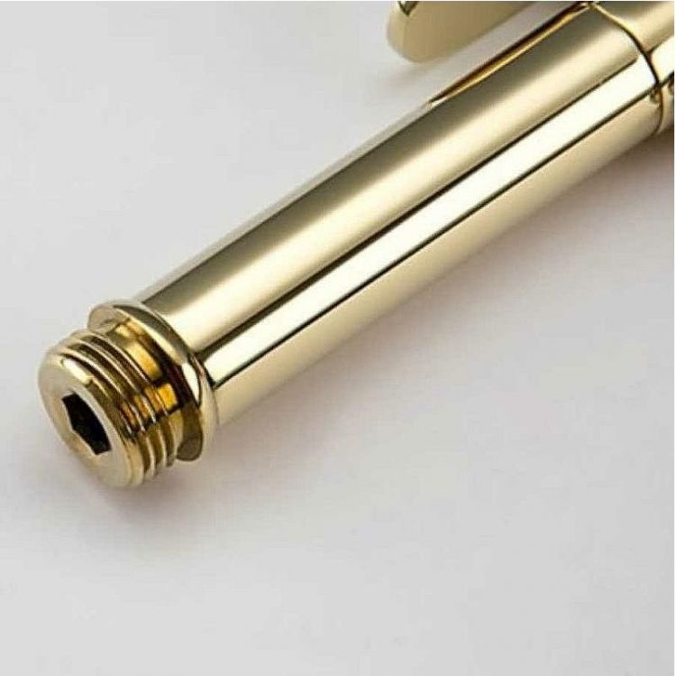 Гигиенический душ со смесителем Frap F7505-3 Золотой Гигиенический душ со смесителем Frap F7505-3 Золотой