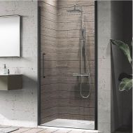 Душевая дверь Novellini Young 100 Y21B97-1H профиль Черный матовый стекло прозрачное