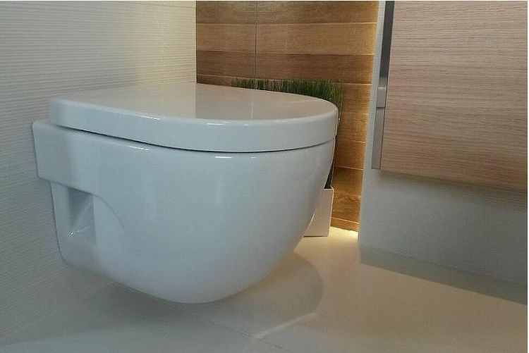 Унитаз Roca Meridian 346248000 подвесной без сиденья