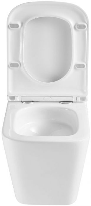 Унитаз Sintesi SIN-TS-BLT-172 подвесной цвет Белый с сиденьем Микролифт