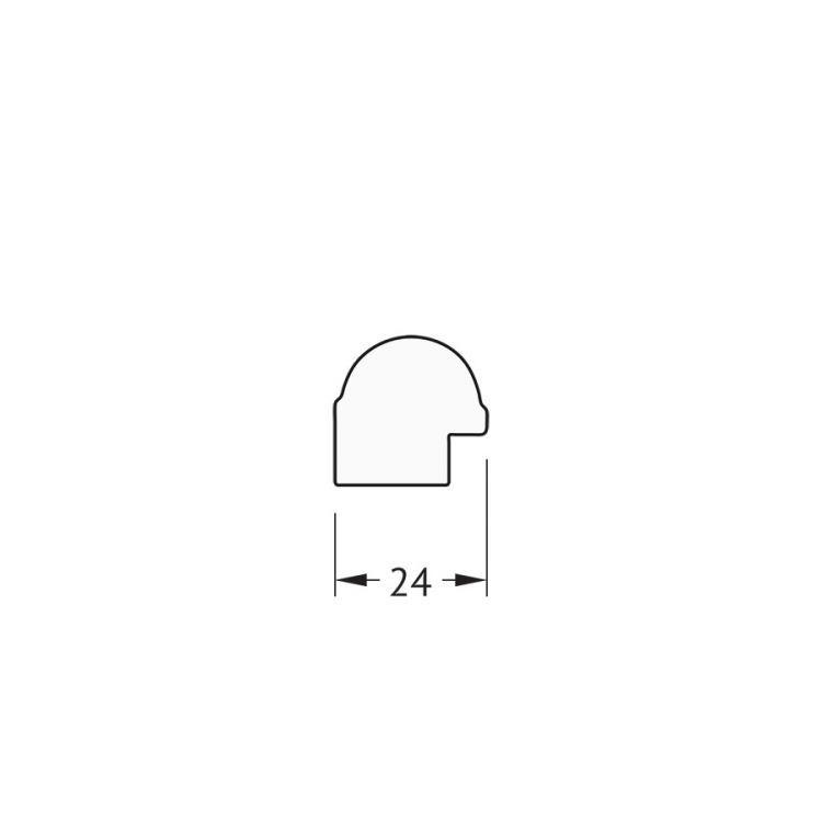 Зеркало EVOFORM  DEFENITE BY 0763 67x147 золотой бамбук 24 мм в багетной раме