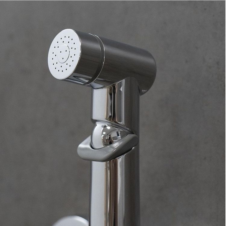 Гигиенический душ со смесителем Lemark Verba LM11419C цвет Хром Гигиенический душ со смесителем Lemark Verba LM11419C цвет Хром