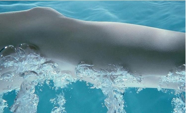 Ванна из искусственного камня Toto Neorest PJYD2200PWEE#GW 220х105 с гидромассажем