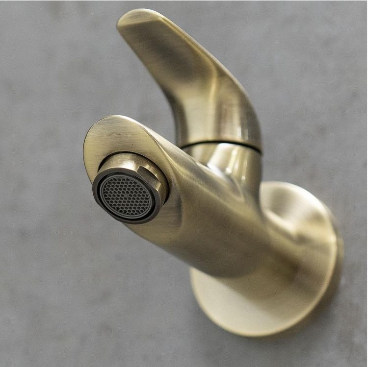 Кран для одного типа воды Lemark Project LM4690B цвет Бронза