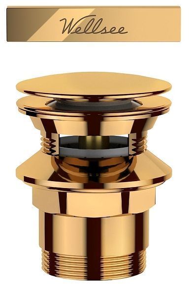 Слив-перелив Wellsee Useful Extras 231920000 click-clack цвет Золото Слив-перелив Wellsee Useful Extras 231920000 click-clack цвет Золото