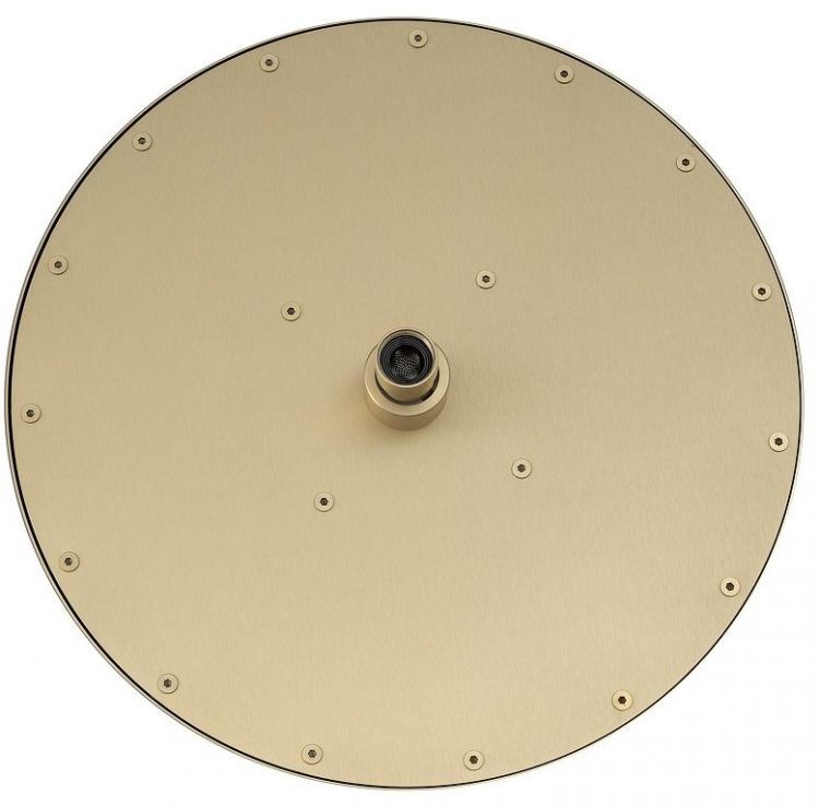 Верхний душ Splendy Feeling R FR212X300R1GM цвет Золото матовое