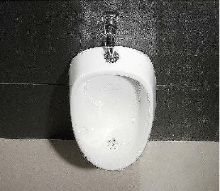 Писсуар CeramaLux X541P с кнопочным механизмом смыва Писсуар CeramaLux X541P с кнопочным механизмом смыва