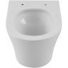 Унитаз Aquanet Zvezda ZV-3 336319 подвесной цвет Белый с сиденьем Микролифт