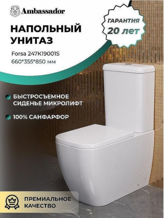 Унитаз компакт Ambassador Forsa 247K19001S с бачком и сиденьем Микролифт