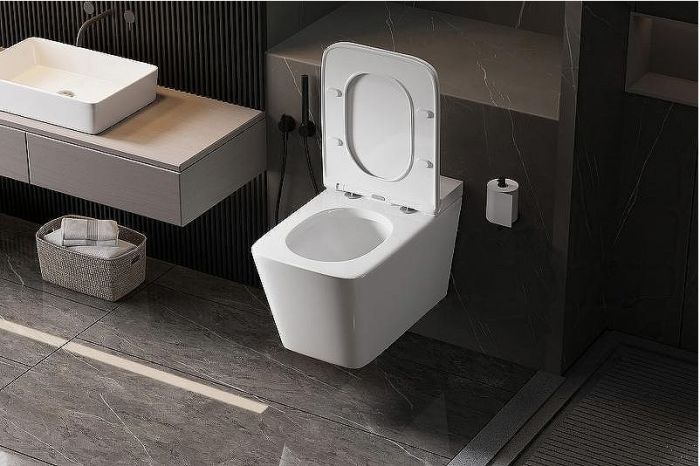 Унитаз Abber Rechteck AC1202P подвесной с сиденьем Микролифт