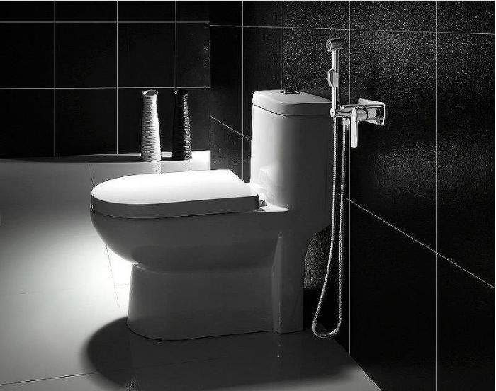 Гигиенический душ со смесителем Lemark Plus Grace LM1519C Хром