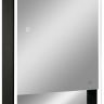 Зеркальный шкаф Reflexion Box 600х800 RF2421BL с подсветкой Черный матовый Зеркальный шкаф Reflexion Box 600х800 RF2421BL с подсветкой Черный матовый