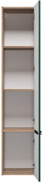 Шкаф пенал Brevita Greenwood 35 R GRE-05035-08П подвесной Зеленый матовый Дуб Галифакс олово