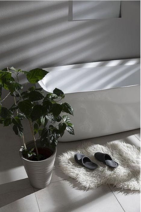 Акриловая ванна Allen Brau Infinity 3 170x78 2.21003.20 без гидромассажа