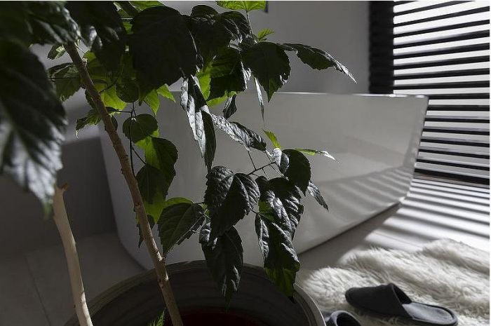 Акриловая ванна Allen Brau Infinity 3 170x78 2.21003.20 без гидромассажа