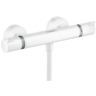 Hansgrohe Ecostat Термостат для душа Comfort, внешнего монтажа, цвет: матовый белый