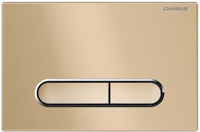 Клавиша смыва Charus Magnus FP.340.51.01 цвет Матовый песок