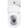 Унитаз моноблок Laguraty 2100AW с бачком и сиденьем Микролифт