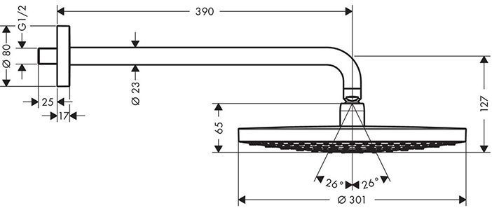 Hansgrohe Raindance Select S 300 2jet Верхний душ с держателем 390 мм, тип струи: RainAir, Rain, цвет: хром