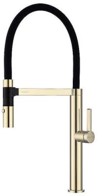 Смеситель для кухни Paulmark Leader Le214101-G Золото