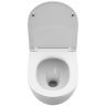 Комплект унитаза BelBagno Uno-Tor BB5177CH-TOR/SC с инсталляцией Geberit Duofix Sigma UP320 111.300.00.5 с сиденьем Микролифт