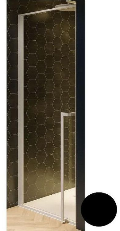 Душевая дверь Riho Lucid GD101 100х10 G005003121 (GD110B000) профиль Черный стекло прозрачное