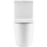 Унитаз компакт Azario Leo Торнадо Flushing AZ-1253CT цвет Белый с бачком и сиденьем Микролифт