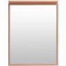 Зеркало Allen Brau Priority 60 1.31013.60 с подсветкой Медь браш