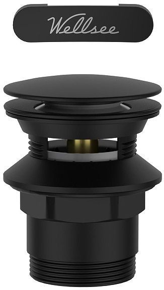 Слив-перелив Wellsee Useful Extras 231929000 click-clack цвет Черный матовый