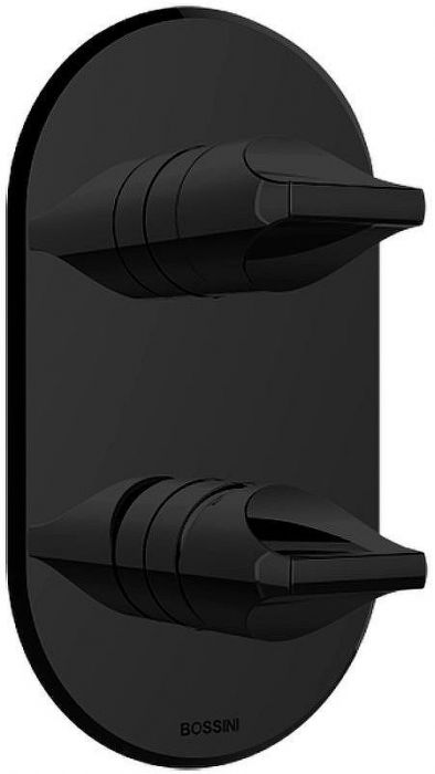 Смеситель для душа Bossini Apice Z00501.073 Черный матовый
