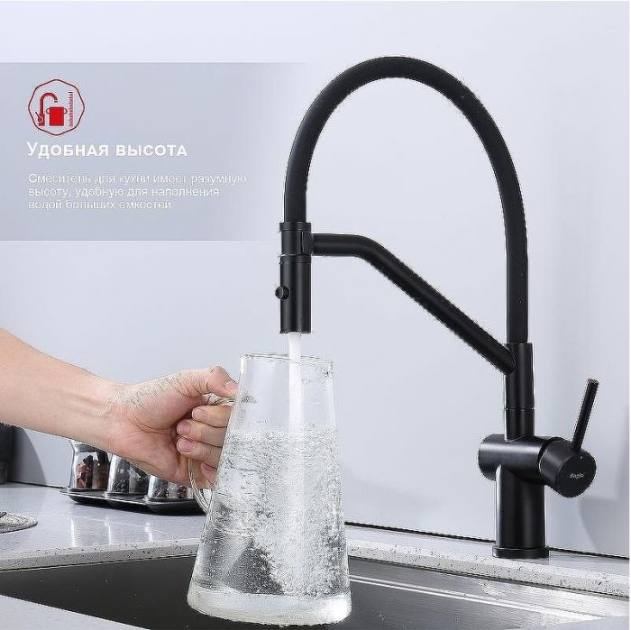 Смеситель для кухни Raglo R86.41.06 Черный матовый