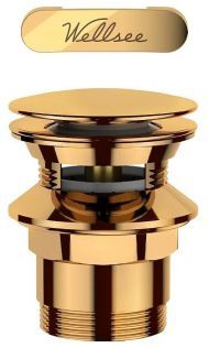Слив-перелив Wellsee Useful Extras 231930000 click-clack цвет Золото