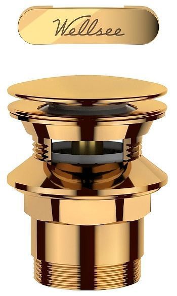 Слив-перелив Wellsee Useful Extras 231930000 click-clack цвет Золото