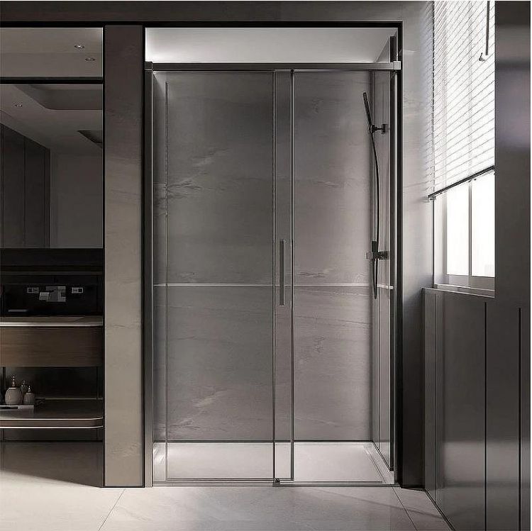 Душевая дверь Veconi Premium Trento PTD-40GR 120 PTD40-GR-120-01-C4 профиль Брашированный графит стекло прозрачное