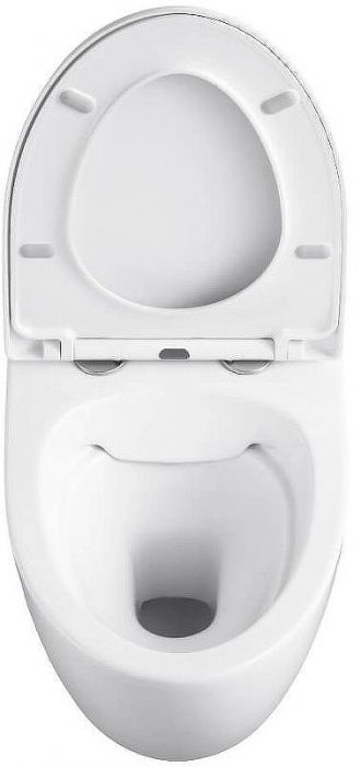 Унитаз Black&White Universe W-751 751w00 подвесной с сиденьем Микролифт