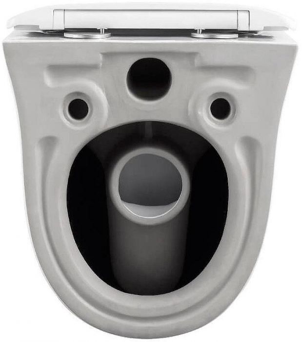 Унитаз Black&White Universe W-751 751w00 подвесной с сиденьем Микролифт