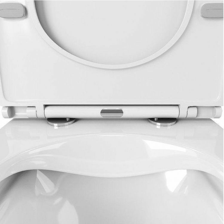 Унитаз Owl 1975 Vatter OWLT190403S подвесной с сиденьем Микролифт Унитаз Owl 1975 Vatter OWLT190403S подвесной с сиденьем Микролифт