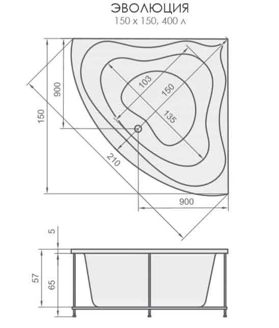 evolutia_s.jpg evolutia_s.jpg