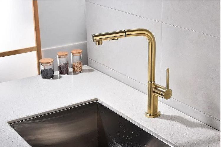 Смеситель для кухни Paulmark Neo Ne214419-BG Брашированное золото Смеситель для кухни Paulmark Neo Ne214419-BG Брашированное золото