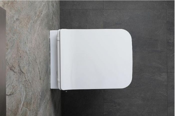 Унитаз биде Allen Brau Liberty 2 4.33009.20 подвесной Белый без сиденья