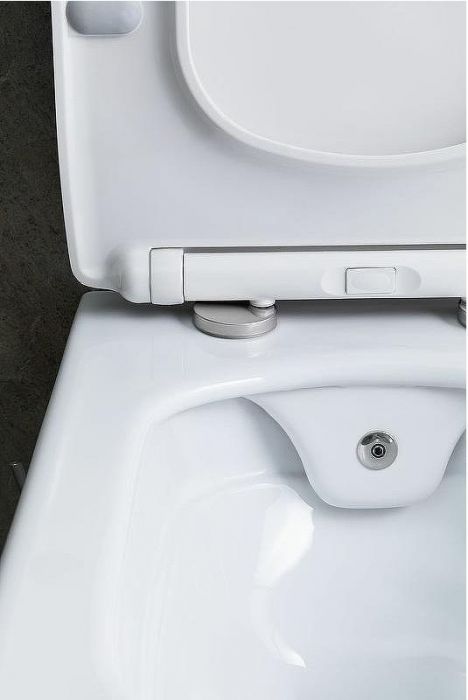 Унитаз биде Allen Brau Liberty 2 4.33009.20 подвесной Белый без сиденья