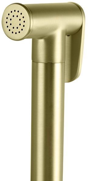 Гигиенический душ со смесителем FILARETE Roun FL100MG цвет Золото матовое