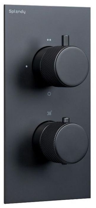 Смеситель для душа Splendy Passion PA204U2T2BM с термостатом цвет Черный матовый