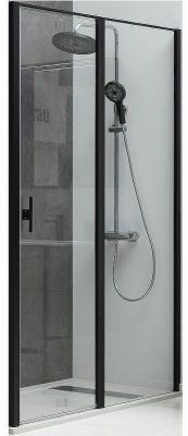Душевая дверь Allen Brau Priority 100 3.31030.BBA профиль Черный браш стекло прозрачное