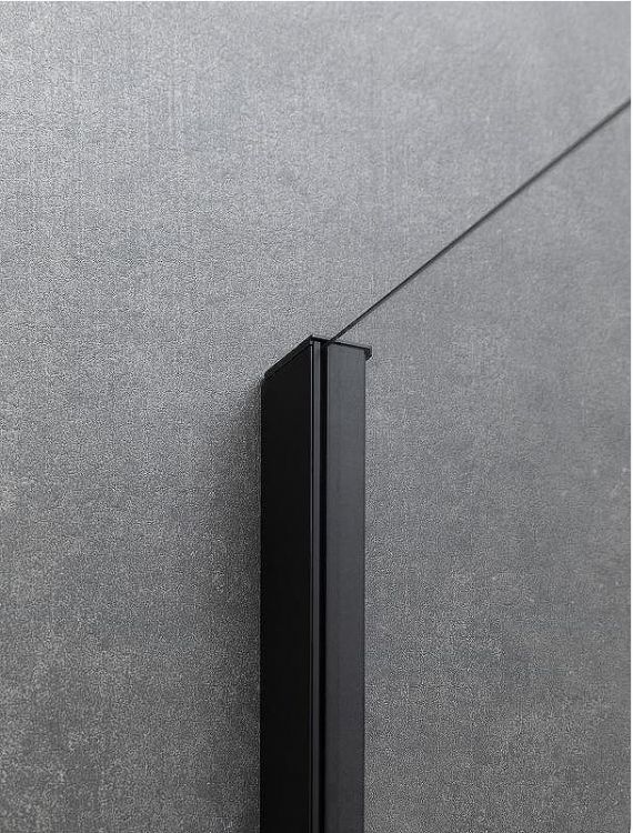 Душевая дверь Allen Brau Priority 100 3.31030.BBA профиль Черный браш стекло прозрачное