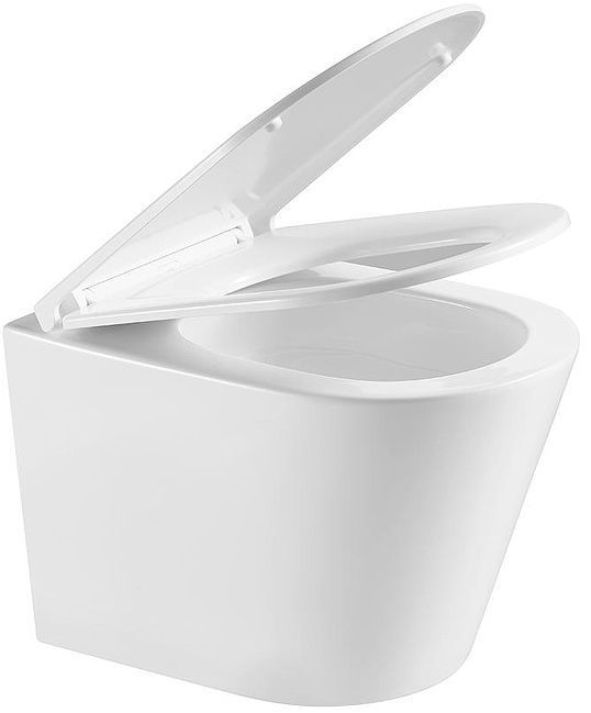 Унитаз Terminus Классик 02SW51x35W подвесной цвет Белый с сиденьем Микролифт