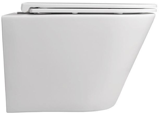 Унитаз Terminus Классик 02W54x36W подвесной цвет Белый с сиденьем Микролифт