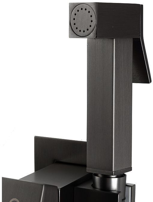 Гигиенический душ со смесителем FILARETE Fing FL101BG цвет Графит