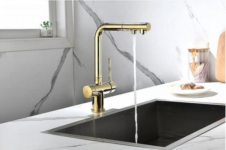 Смеситель для кухни Paulmark Serpentine Se213222-G Золото